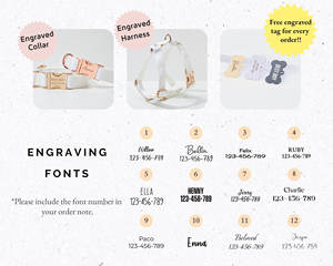 สายจูงสุนัขผ้าลูกฟูกสีฟ้าอ่อนชุดสายจูงสุนัขพร้อมสายจูงสุนัข - Product Image 2