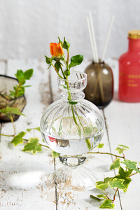 <span class=keywords><strong>Vase</strong></span> à fleurs en verre côtelé pour femmes, Mini <span class=keywords><strong>Vase</strong></span> de fleurs simple et clair, <span class=keywords><strong>Vase</strong></span> à fleurs bas, mignon et pour décoration intérieure, mariages et fleurs - Product Image 3