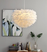 Nordique Moderne Plume Lustre Creative Art Décor Éclairage Intérieur Suspension Maison Hôtel Chambre Noir Corps En Verre LED Ampoule