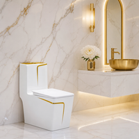 WC monobloc à siphon design simple, WC en céramique à double chasse avec accents dorés audacieux