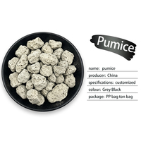 Pierre ponce horticole naturelle isolante thermiquement, pH neutre, pour la température des racines des jeunes plants d'arbres fruitiers en extérieur