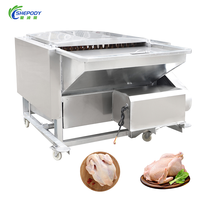 Équipement d'abattage de volailles de haute qualité Shepody, machine à échauffer et à plumer les poulets