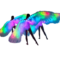 Ailes de plumes lumineuses à LED pour adultes, vêtements de scène pour ange et fée, accessoires de costume de scène arc-en-ciel