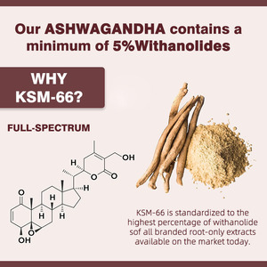Capsules d'Ashwagandha à Marque Blanche avec Racine de Gingembre – Complément Herbal pour un Sommeil Sain et le Bien-être Général - Product Image 3