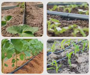 Das PE-Tropfband-Bewässerungs system mit anpassbarem Abstand (10-60cm) und 16mm Durchmesser für Garten-und landwirtschaft liche Zwecke - Product Image 5