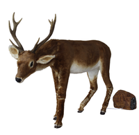 Renne Animé Personnalisé en Fibre de Verre avec Musique Bluetooth, Modèle de Cerf pour Noël, Cadeau Maison, Décoration de Fêtes