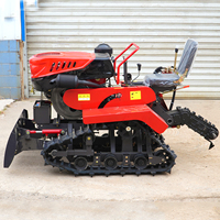 Pengiriman Gratis Traktor Crawler Multifungsi Pertanian Bersertifikasi EPA, Mesin Pemotong Rumput Mini, Rotary Tiller, Cultivator, Pompa, Gearbox 4