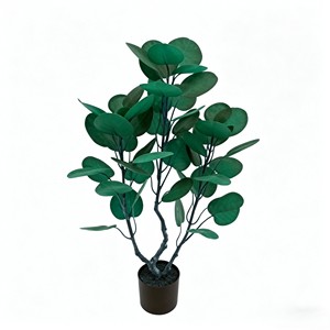 Plante d'arbre à monnaie préservée luxurante avec tronc tressé et feuilles en forme de parapluie pour la prospérité, à poser sur bureau et étagère - Product Image 1