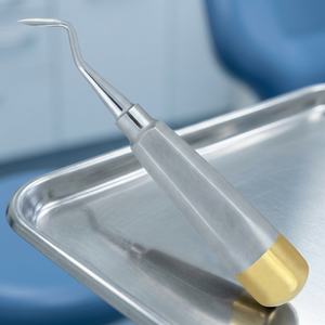 Elevador de Raíces Dentales BK Industries, Tipo Flohr Derecho, Acabado Mate, Mango Chapado en Oro, Instrumento Quirúrgico Clase I, Certificado CE ISO - Product Image 4