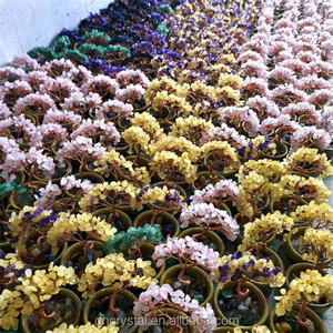 Eco-Friendly Cristal Natural Esmagado Pedra <span class=keywords><strong>Money</strong></span> <span class=keywords><strong>Tree</strong></span> Ornamento De Madeira Base Decor para Casa Carro Mini Pequenos Espaços - Product Image 5