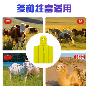 Gps Animal Tag Yellow Plastic Cattle <b>Tracking</b> <b>Device</b> For Farm Use - Product Image 3