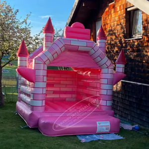 Alquiler <span class=keywords><strong>de</strong></span> fiesta Casa <span class=keywords><strong>de</strong></span> rebote <span class=keywords><strong>de</strong></span> caballero Rosa castillo inflable con forma <span class=keywords><strong>de</strong></span> palacio a la <span class=keywords><strong>venta</strong></span> - Product Image 5