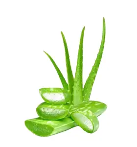 Migliore qualità idratante per la cura del corpo trattamenti per la pelle di Aloe Vera Gel biologico direttamente dal fornitore indiano