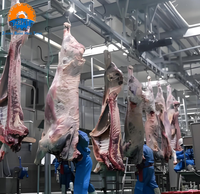 Ligne complète d'équipement d'abattage halal pour bovins, solution tout-en-un, machines de transformation de la viande bovine pour abattoir, haute efficacité