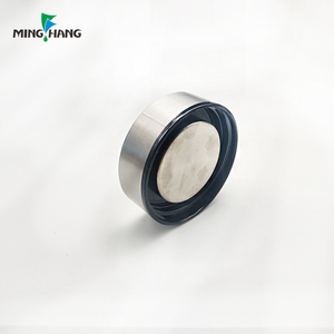 <span class=keywords><strong>Bottiglia</strong></span> di <span class=keywords><strong>acqua</strong></span> gassata borosilicato della <span class=keywords><strong>bottiglia</strong></span> di <span class=keywords><strong>acqua</strong></span> di <span class=keywords><strong>vetro</strong></span> 18oz fatta in casa per succo - Product Image 6