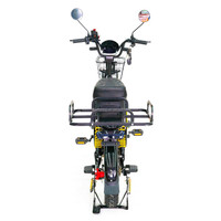 2025 Offres Spéciales russe e-bike longue portée Bldc moyeu moteur électrique cadre vélo électrique Cargo vélo pour adultes
