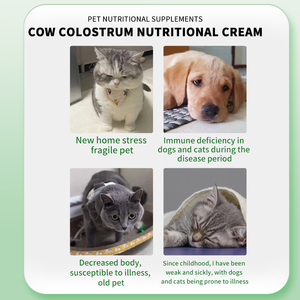 Pommade Articulaire pour Animaux de Compagnie : Complément pour Chats et Chiens, Colostrum Bovin, Nutriments Essentiels, Soutien Immunitaire, Réparation du Cartilage, Sûr - Product Image 2