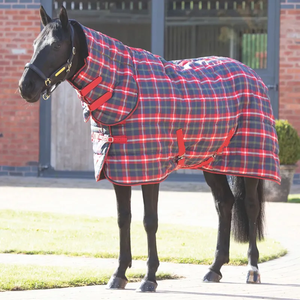 Breathable Cotton Mesh Stable Horse Blanket Lightweight All Season Horse Rug for Indoor Stable <b>Equestrian</b> Training Use - Product Image 3