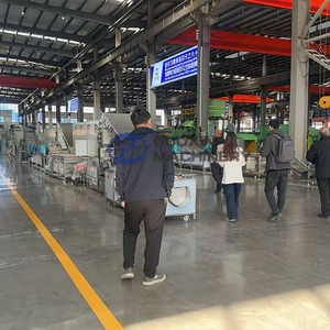 Máquina Secadora de Flores de Alta Capacidad con Cinta de Malla, Máquina de Secado de Girasoles con Cinta de Malla, Máquina Secadora de Flores de Locust Negro con Cinta de Malla - Product Image 4