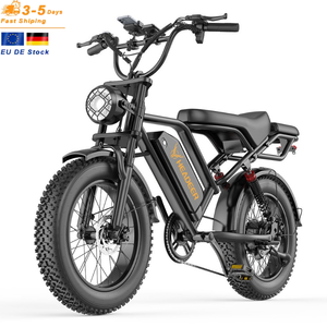 Vélo électrique à pneus larges de 20 pouces, 750W, batterie 48V 20Ah, style vintage, avec siège arrière, disponible en entrepôt UE/Royaume-Uni - Product Image 1