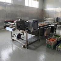 Appel- en peerreinigingsmachine met bubbels, groente- en fruitdroogmachine met bubbels
