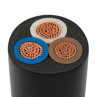 Cable de Alimentación de 3 Núcleos de Cobre con Aislamiento XLPE y Revestimiento de PVC 0.6/1kV