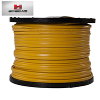 Cable Plano NMB 14/2 12/2 10/2 con Núcleo THHN, Revestimiento de PVC y Cable de Tierra para el Mercado Estadounidense