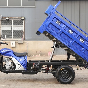 Nouveau modèle 2021 : Tricycle motorisé électrique populaire pour adultes, moto 200, 250, 300 cm³, tricycle cargo à essence - Product Image 3