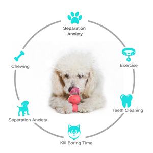 Doggy Lick Food Spielzeug Hund Keks Kauen Treats Stick Hunde Zähne Reinigung Molar Tools - Product Image 6