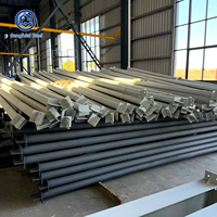 Structure en acier pour abri de voiture / abri de stationnement extérieur pour le stockage de véhicules / structure préfabriquée pour salle d'exposition de voitures / entrepôt