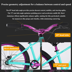 <span class=keywords><strong>Bicicletta</strong></span> da Dirt Jump da <span class=keywords><strong>26</strong></span> Pollici Mountain Bike da Salto con Freno a Disco e Assorbimento degli Urti Modello Lopes Speed Pedale Standard Bici Ammortizzata - Product Image 5