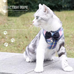 <span class=keywords><strong>Harnais</strong></span> pour chien <span class=keywords><strong>anti</strong></span>-<span class=keywords><strong>évasion</strong></span>, sangle de poitrine respirante pour <span class=keywords><strong>chat</strong></span> avec laisse, gilet de protection pour animaux de compagnie - Vente chaude - Product Image 3