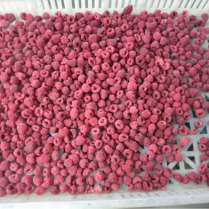 Framboises surgelées IQF au meilleur prix de Chine pour l'exportation - Emballage PE recyclable pour supermarchés et expositions - Product Image 4
