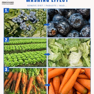 Laveuse De Fruits Ultrasonsozone - Product Image 5