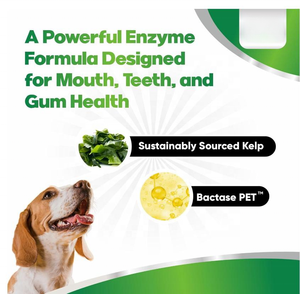 Köpek takviyesi için fabrika fiyat diş tozu nefes spreyi-diş temizleme hedefler Tartar ve kötü nefes için kolay yapılmış - Product Image 3