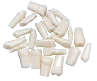 Nissin Frasaco Typodont Individuel 32 pièces, dents à visser de remplacement, modèle anatomique en PVC, outil de pratique scientifique médicale M8022