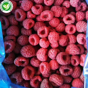 <span class=keywords><strong>IQF</strong></span> hữu cơ số lượng lớn trái cây đông lạnh mâm xôi của giá - Product Image 3