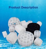 Mbbr System Bio Filter Media K1 K2 K3 K5-Prix abordables pour les réacteurs à biofilm à lit mobile Traitement efficace des eaux usées avec