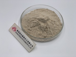 Extracto de cáscara de semilla de psyllium orgánico de fábrica Hongda 95% 99% polvo de cáscara de psyllium a granel - Product Image 3