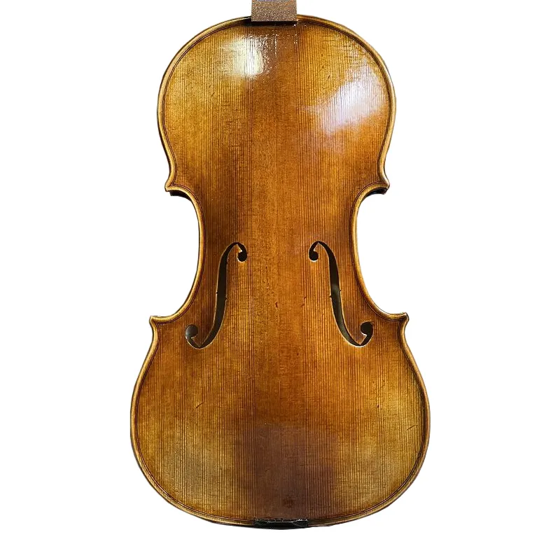 Aiersi-violín profesional hecho a mano con pintura al óleo y piel rota antigua, accesorios de ébano, precio barato