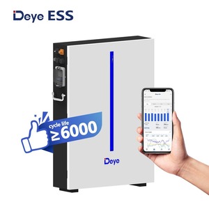 Batería de Bajo Voltaje Deye RW-M6.1-B <span class=keywords><strong>6KWH</strong></span> 51.2V 120AH, Batería Solar Deye de Litio LifePO4 para Almacenamiento Residencial y Uso Doméstico - Product Image 4