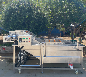 Máquina de lavado de alta presión con cepillo de rodillos para limpieza de zanahorias, patatas y frutas - Product Image 2