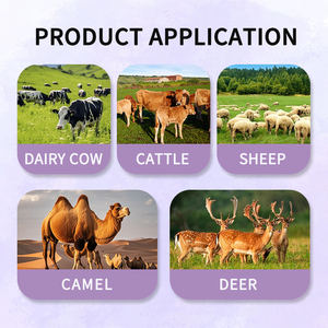 Кормовая добавка FARMJEWEL: питательный, антикислотный, комплексный премикс для рудокрылых животных, с морскими минералами и пробиотиками для крупного рогатого скота и коз (25 кг/мешок) - Product Image 5