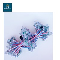 Vente en gros de lumières à pixels numériques RGBW SMD5050 WS2811 25 mm IP68 pour la décoration de bâtiments, 0,6 W, garantie de 5 ans