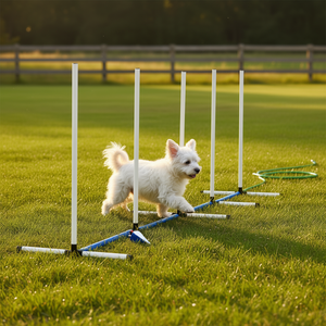 Set di 4 Pali per Agility Canina in Plastica, Manuale Incluso, per Addestramento Cani - Product Image 2