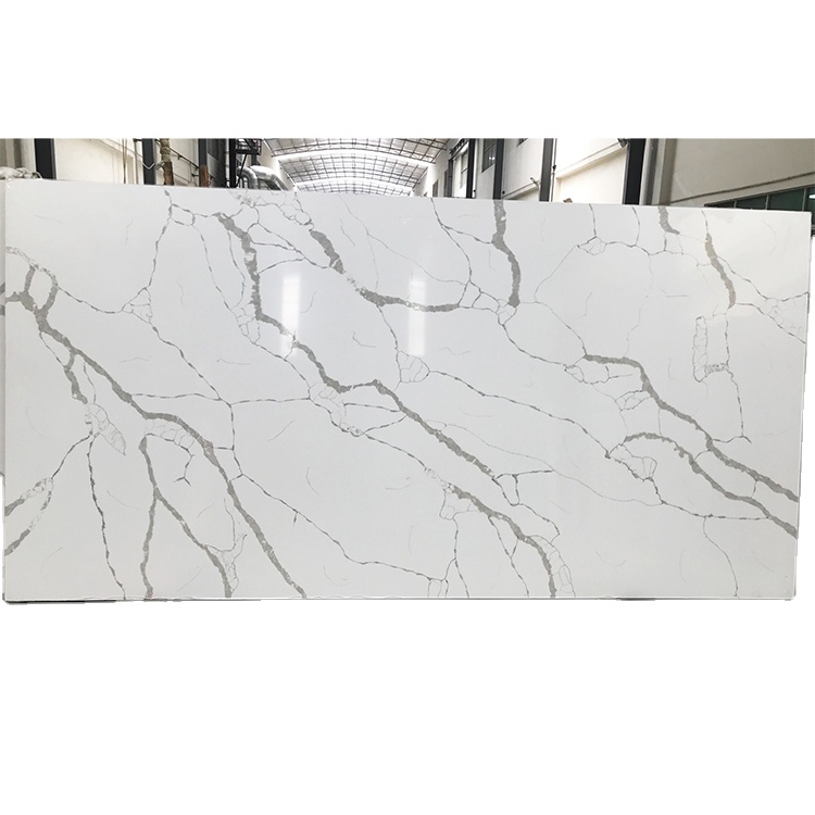 White calacatta with gray vein