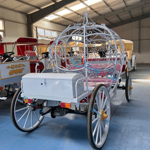 Boda de cuento de hadas en blanco y negro con la novia entrando en una soñadora carruaje de calabaza con temática de <span class=keywords><strong>Cenicienta</strong></span>, <span class=keywords><strong>completa</strong></span> con luces. - Product Image 2