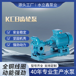 ปั๊มเกียร์ Kcb 1.1-58 ลิตร/นาที 34-3 มม. แบบปล่อยน้ำมัน ตัวเรือนเหล็กหล่อ ขับเคลื่อนด้วยไฟฟ้า สำหรับระบบถ่ายเทน้ำมันหล่อลื่น - Product Image 5