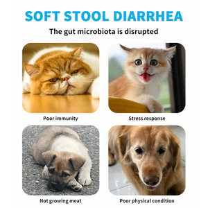 Probiotiques pour chiens et chats avec technologie Coated Tech, supplément digestif à 2 millions de bactéries vivantes pour soulager la <span class=keywords><strong>diarrhée</strong></span> et les odeurs des excréments - Product Image 4