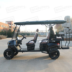 Buggy Utilitaire Électrique 6 Passagers Homologué pour la Route avec Suspension Indépendante, Voiturette de Golf Touristique - Product Image 4
